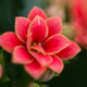 Illustration for article titled 21 Stupendous Photos of Spring